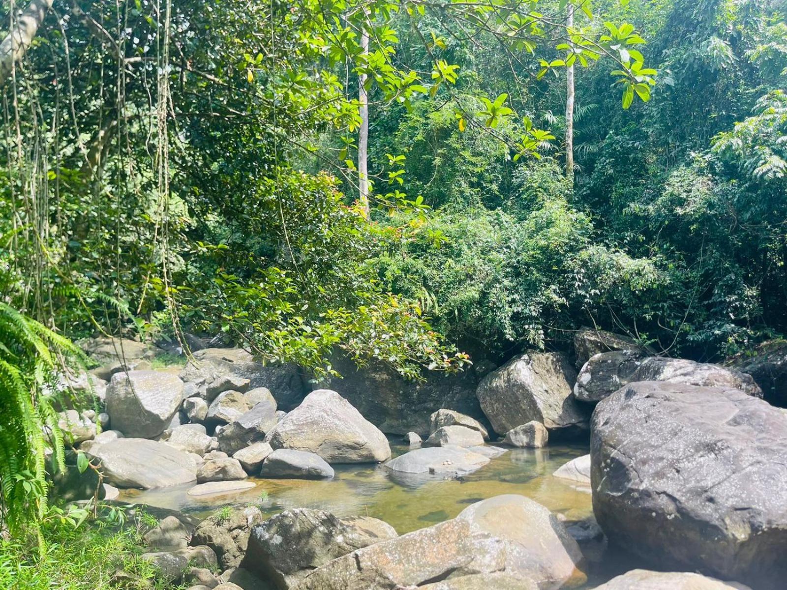 Palabaddala Tea And Eco Lodge Ratnapura Exterior foto